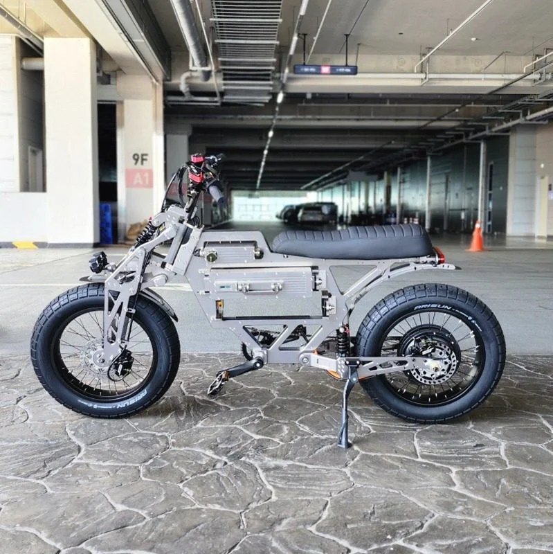 WEPED F1 Electric Bike